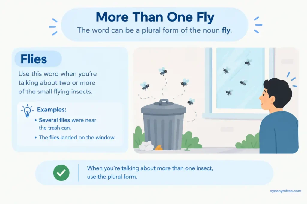 When To Use Flies As A Noun